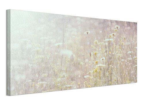 Summer Meadow - Obraz na płótnie