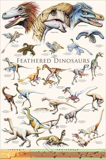 Całościowy widok plakatu edukacyjnego Dinozaury.