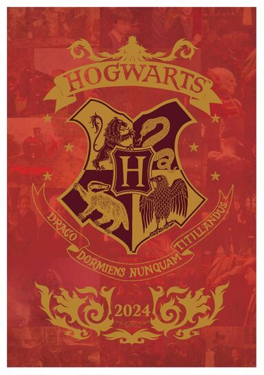 Dziennik Harry Potter 2024 - okładka z motywem.