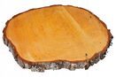 Plaster drewna plastry drewniane dąb kora krążek podstawka 23-28 cm