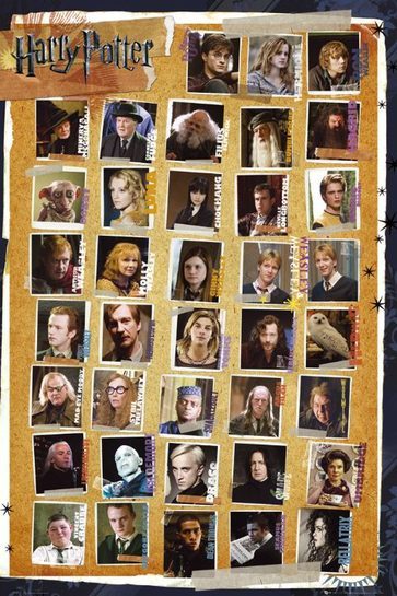 Szczegółowy widok na postaci plakatu Harry Potter.