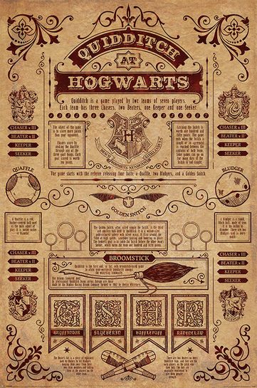 Całościowy widok plakatu Quidditch w Hogwarcie.