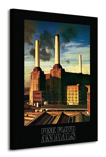 Pink Floyd (Animals) - Obraz na płótnie