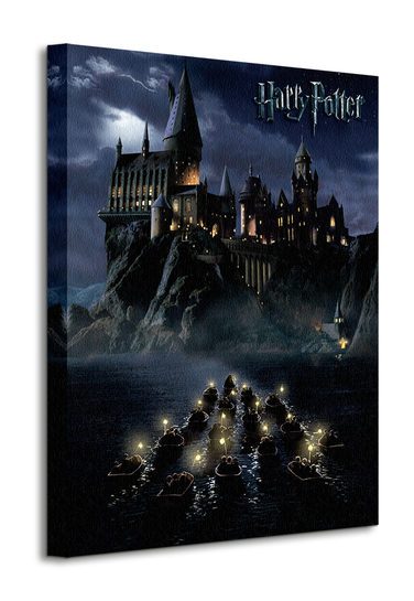 Harry Potter (Hogwarts School) - Obraz na płótnie