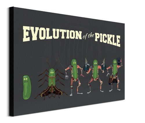 Rick and Morty Evolution Of The Pickle - obraz na płótnie