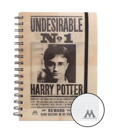 Harry Potter Sirius i Harry - zeszyt, notes A5