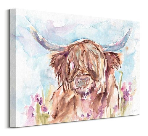 Highland Cow - obraz na płótnie