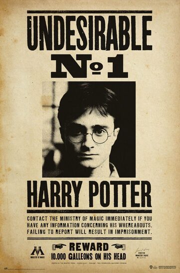 Całościowy widok plakatu Harry Potter - Undesirable No 1.