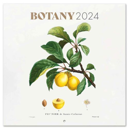 Okładka Oficjalnego Kalendarza Ściennego Botany 2024