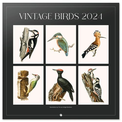 Okładka oficjalnego kalendarza ściennego Vintage Birds 2024