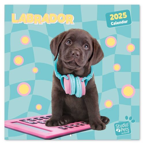 Studio Pets Labrador - kalendarz 2025