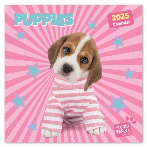 Studio Pets Puppies - kalendarz 2025