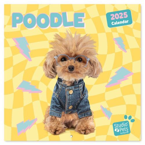 Studio Pets Poodle - kalendarz 2025