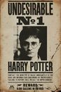 Harry Potter Poszukiwany - plakat