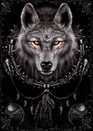Wolf Dreams - plakat