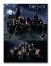 Harry Potter (Hogwarts School) - Obraz na płótnie