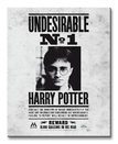 Harry Potter (Undesirable No.1) - Obraz na płótnie