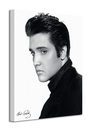 Elvis (Portrait) - Obraz na płótnie