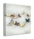 Array Of Butterflies - Obraz na płótnie