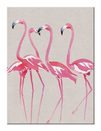 Różowe Flamingi - Obraz na płótnie