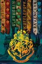 Harry Potter Flagi Domów - plakat z filmu