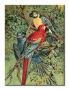 Vintage Parrots - obraz na płótnie