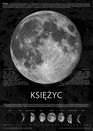 Fazy Księżyca Informacje - plakat