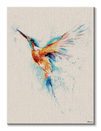 Kolorowy koliber - obraz na płótnie