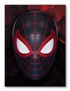Spider-Man Miles Morales The Mask Of A Hero - obraz na płótnie
