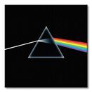 Pink Floyd Dark Side Of The Moon - obraz na płótnie