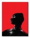 The Batman Catwoman Red - obraz na płótnie