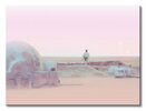 Star Wars Serene Tatooine - obraz na płótnie