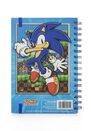 Sonic The Hedgehog Green Hill Zone Gang - notes A5 kołozeszyt