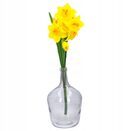 Wazon szklany na kwiaty bukiety trawę pampasową flakon wąski wysoki 25 cm