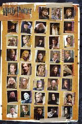 Harry Potter 7 Bohaterowie - plakat