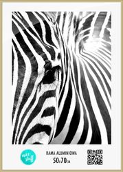 Rama aluminiowa złota B2