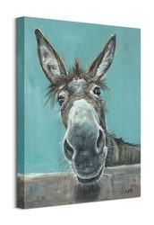 Osiołek - Obraz na płótnie