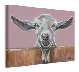 Koza - Obraz na płótnie