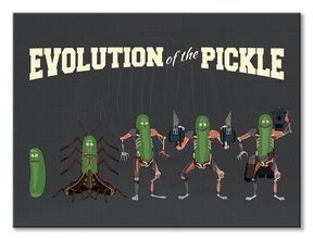 Rick and Morty Evolution Of The Pickle - obraz na płótnie