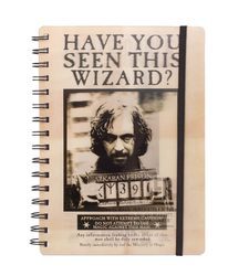 Harry Potter Sirius i Harry - zeszyt, notes A5