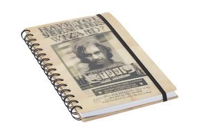 Harry Potter Sirius i Harry - zeszyt, notes A5