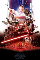 Star Wars Skywalker Odrodzenie Bohaterowie - plakat filmowy