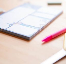 Rick and Morty - planer dzienny