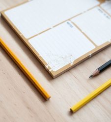 Harry Potter Dobby - planer dzienny