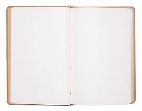 Frida Kahlo - notes A5