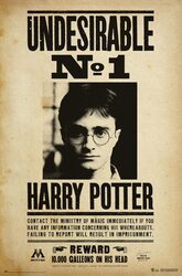 Harry Potter Undesirable No 1 - plakat