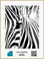 Złota rama aluminiowa 60x80 cm