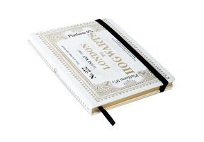 Harry Potter Hogwarts Express Ticket - notes