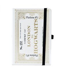 Harry Potter Hogwarts Express Ticket - notes