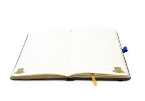 Harry Potter Intricate Houses Ravenclaw - notes A5